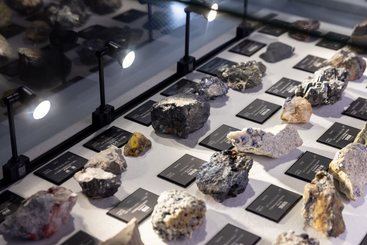 🏛️ 포사 마그나 박물관(フォッサマグナミュージアム)